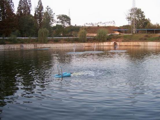 湖北黃岡化工廠人工湖水體維護工程項目